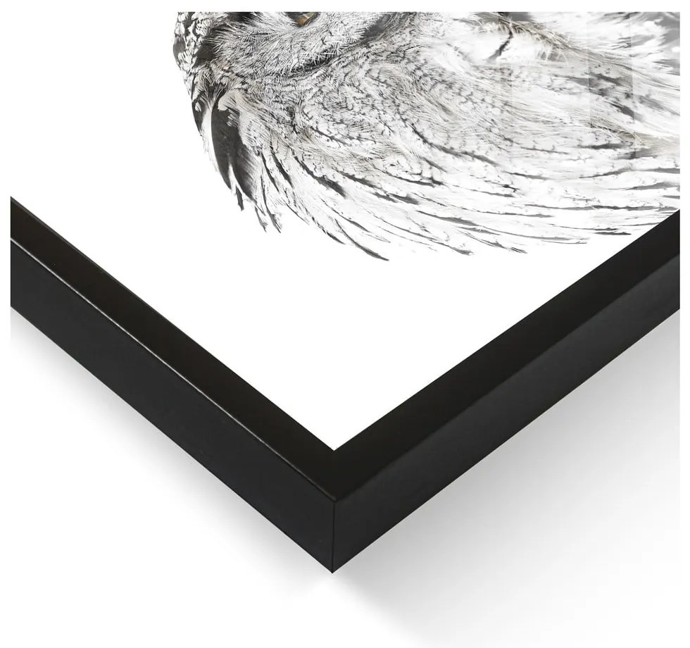 Obraz 50x70 cm Owl – Styler