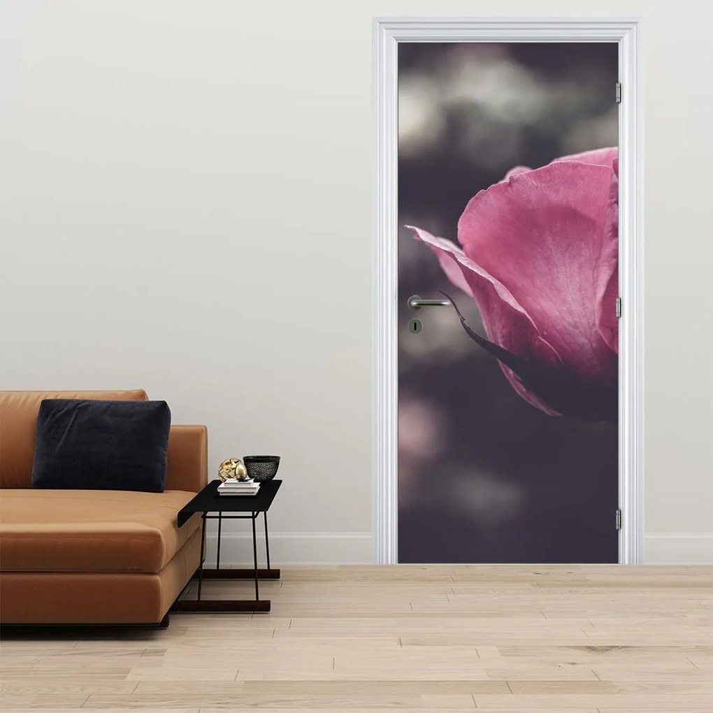 Fototapeta na drzwi - Detal kwiatu róży (95x205cm)