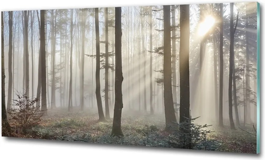 Foto obraz szkło hartowane Mgła w lesie