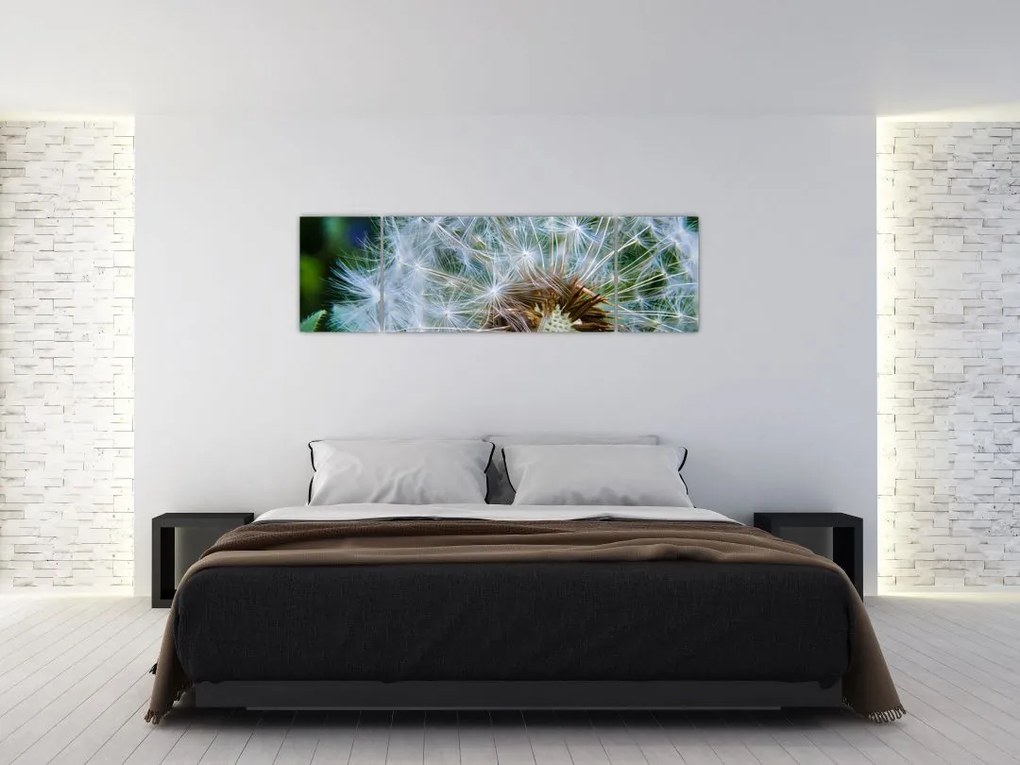 Obraz przekwitniętego dmuchawca (170x50 cm)