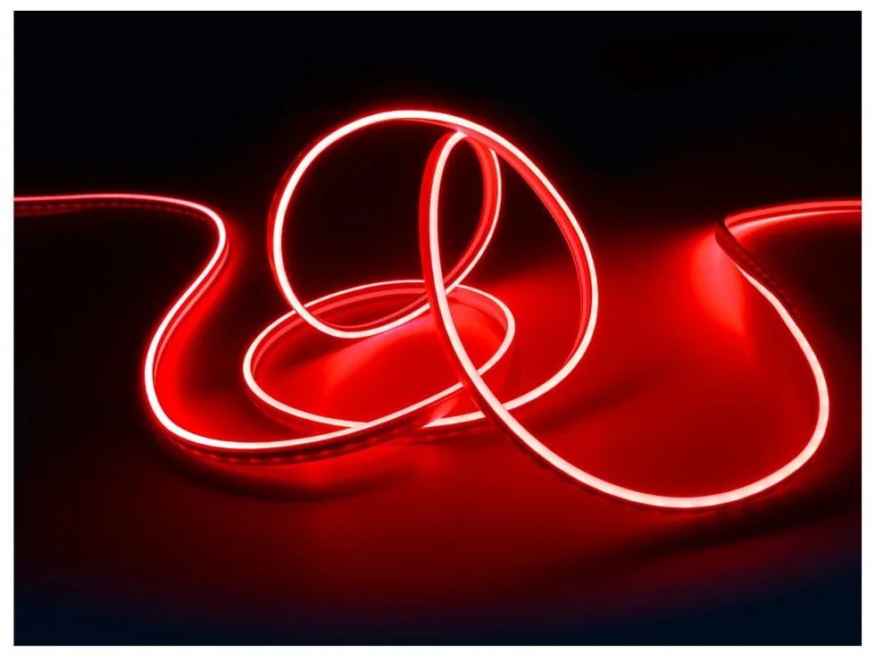 Biała taśma LED 300 cm Neon – Trio