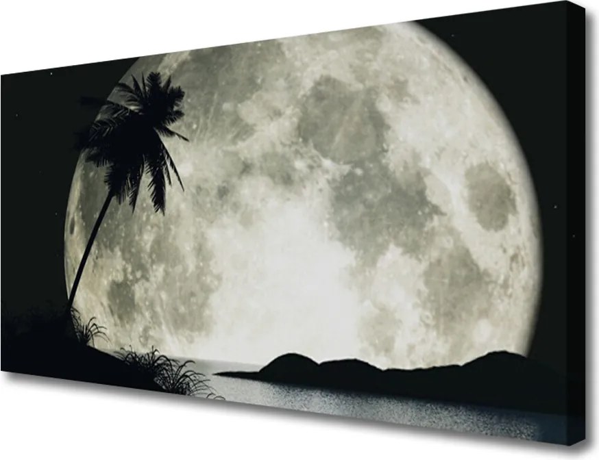 Fotoobraz na płótnie Tropikalna Noc pod Księżycem