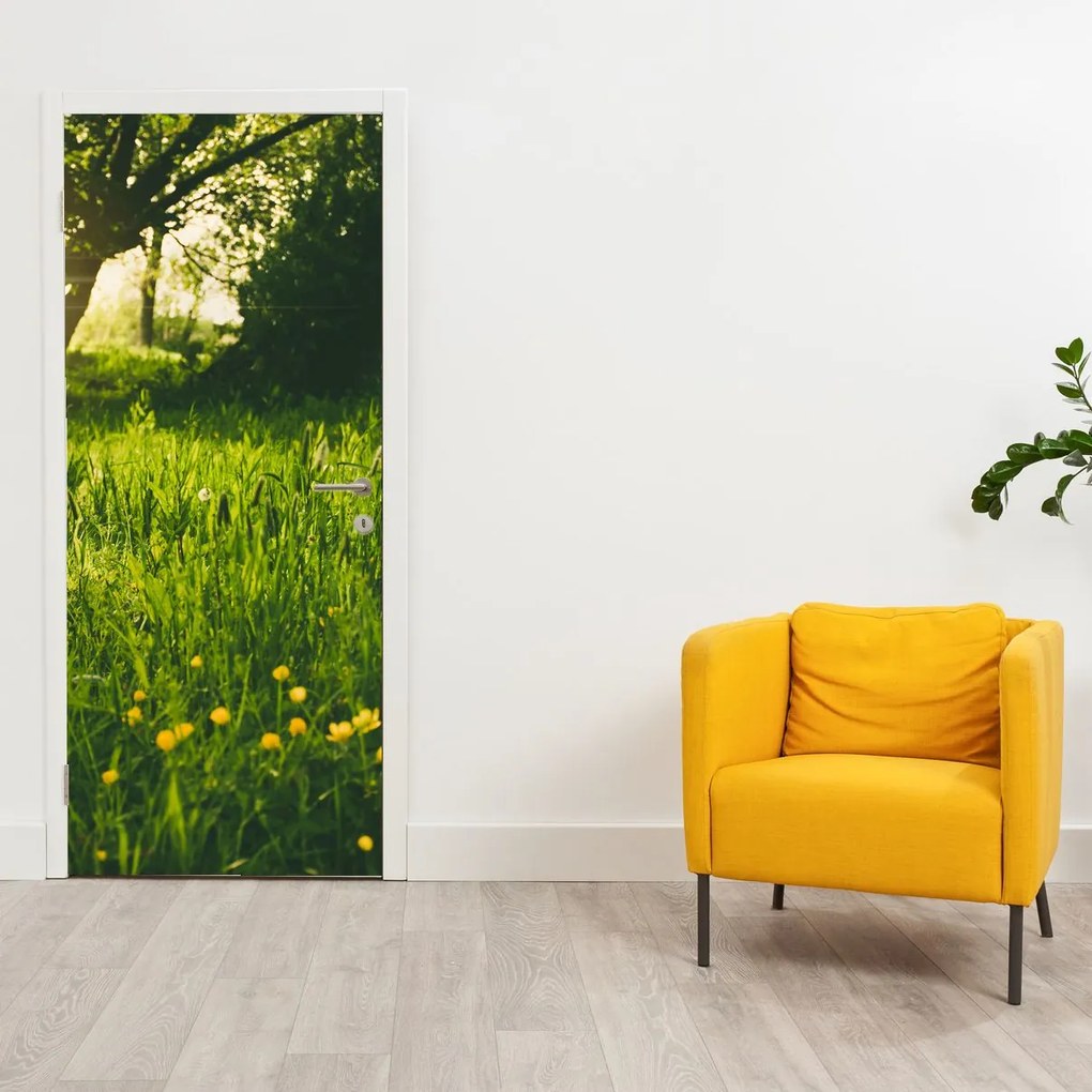 Fototapeta na drzwi - Łąka (95x205cm)