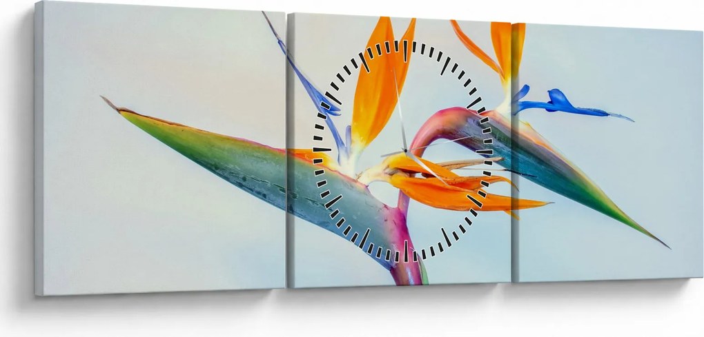 Obraz kwiatu Strelicji (z zegarem) (90x30 cm)