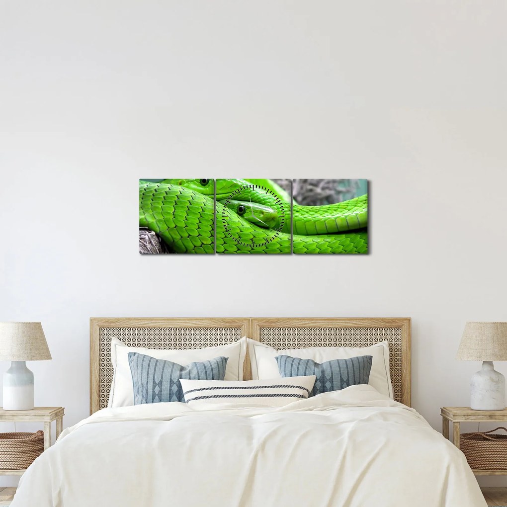 Obraz zielonych węży (z zegarem) (90x30 cm)