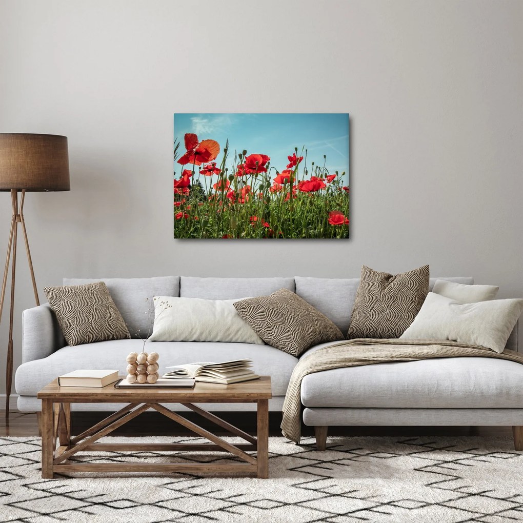 Obraz - Na polu maków (70x50 cm)
