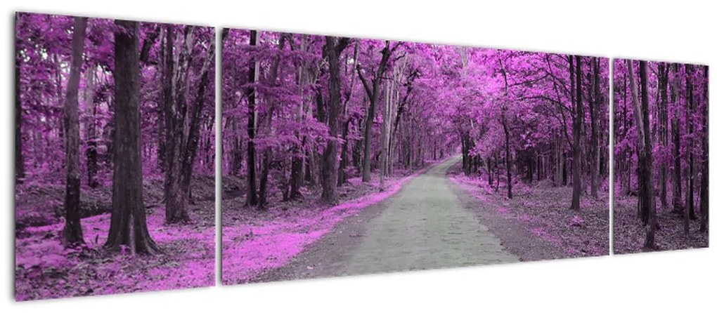 Obraz - Ścieżka przez park (170x50 cm)