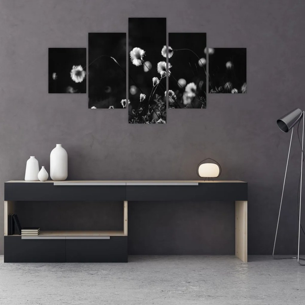 Obraz - Łąka z trawą bawełnianą N⁰1 (125x70 cm)