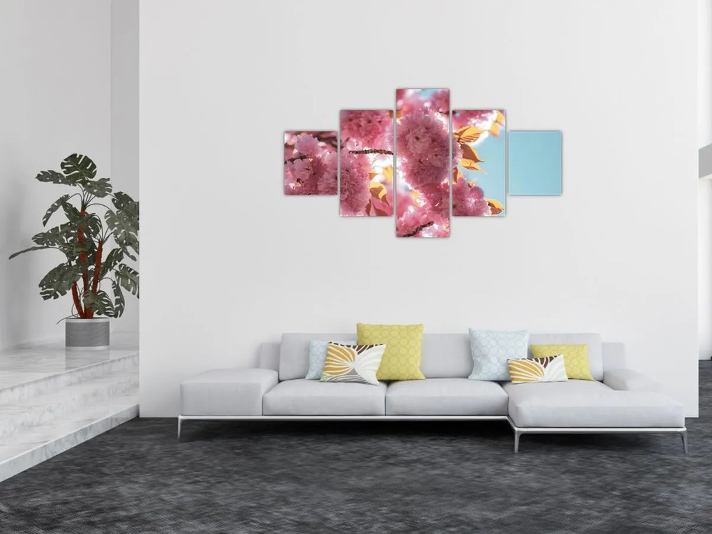 Obraz - Kwiat wiśni (125x70 cm)