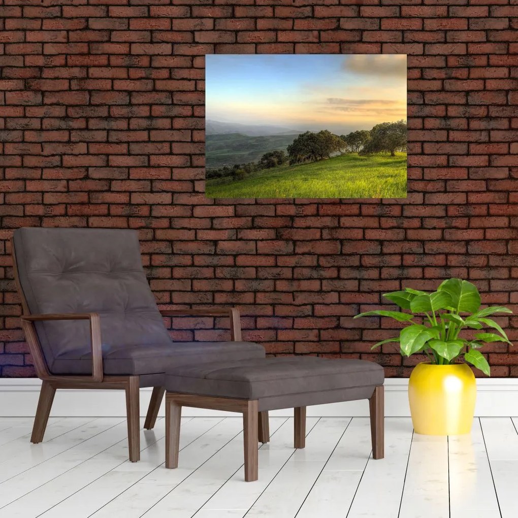 Obraz - Widok ze wzgórza (70x50 cm)