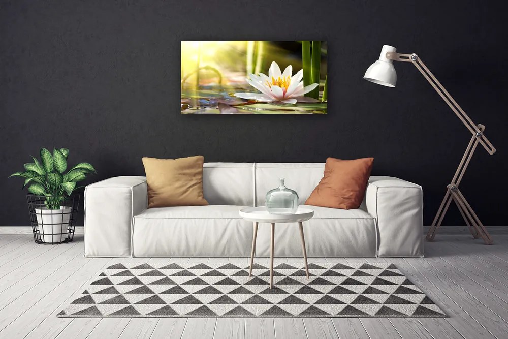 Obraz Canvas Kwiat Lilia Wodna