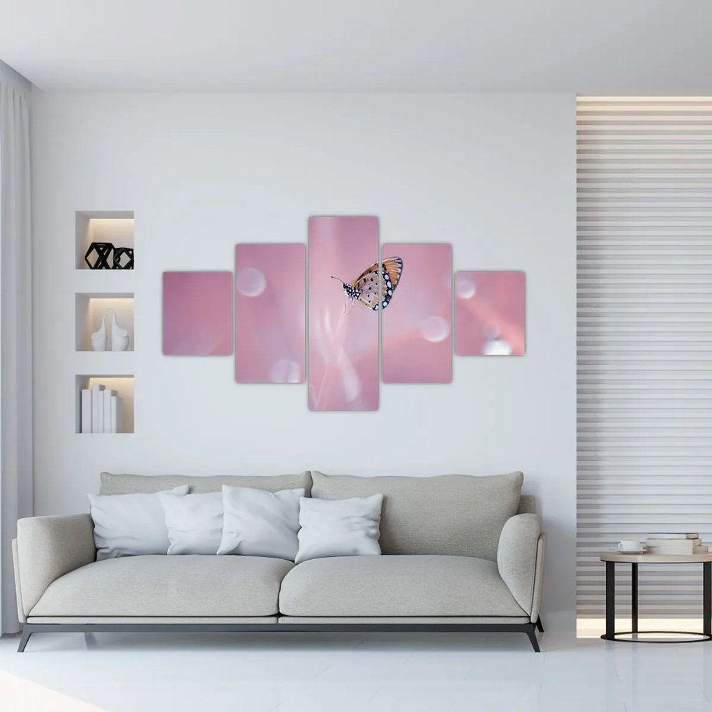 Obraz - Motylek (125x70 cm)