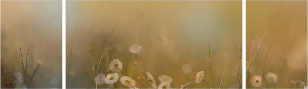 Obraz - Obraz olejny stokrotek (170x50 cm)