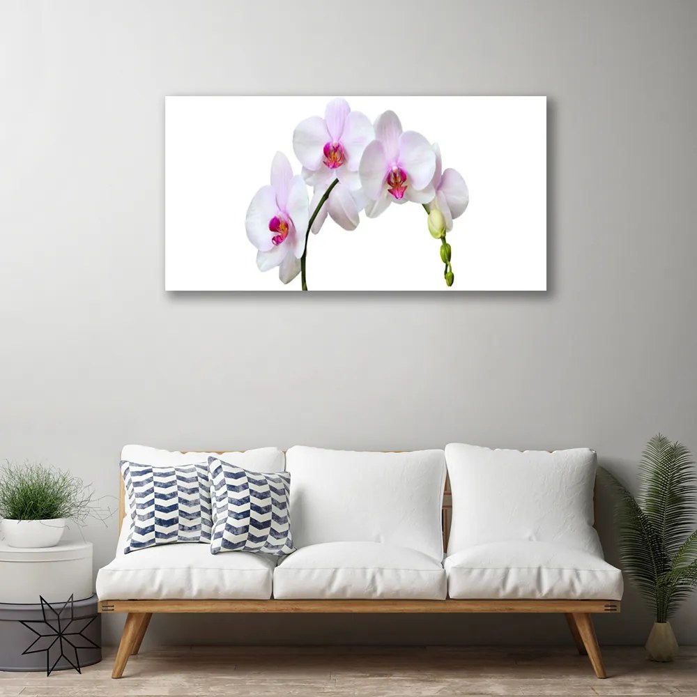 Obraz Canvas Storczyk Orchidea Kwiaty