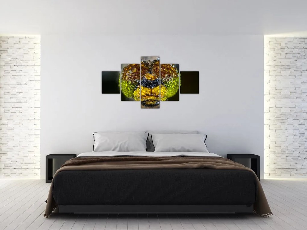 Szczegółowy obraz oczu owadów (125x70 cm)
