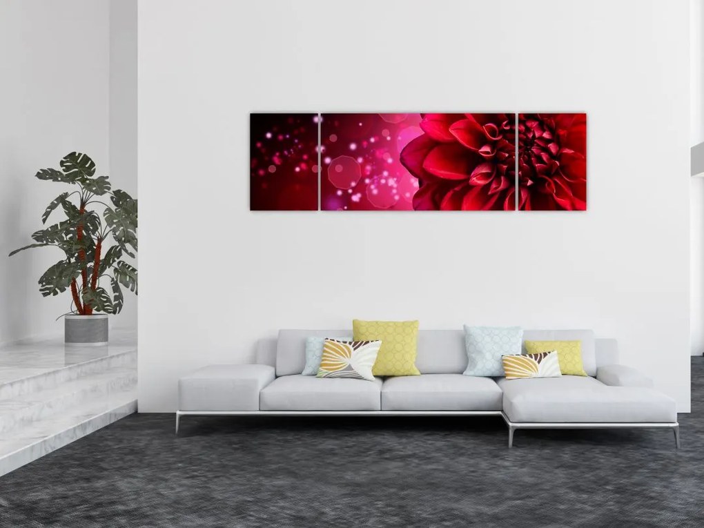 Obraz czerwonego kwiatu (170x50 cm)