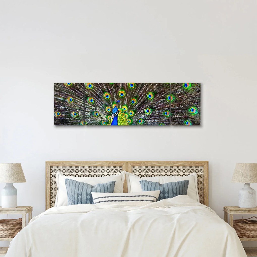 Obraz - Paw (170x50 cm)