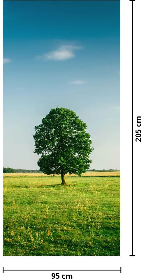 Fototapeta na drzwi - Drzewo na łące (95x205cm)