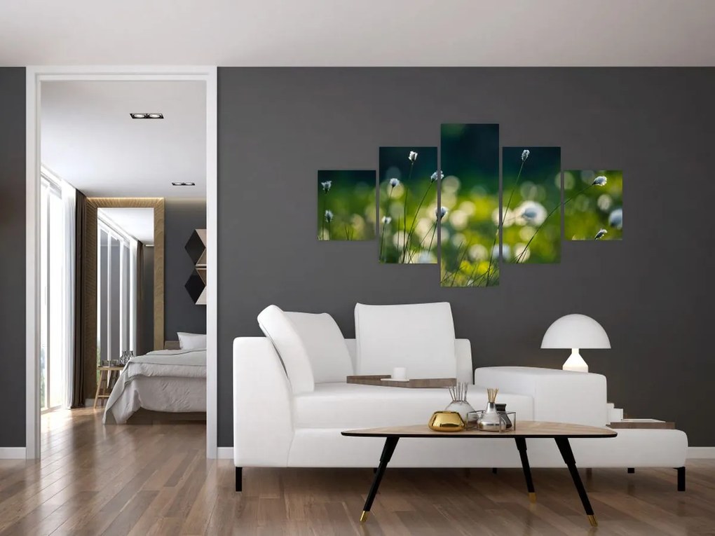 Obraz - Trawa (125x70 cm)