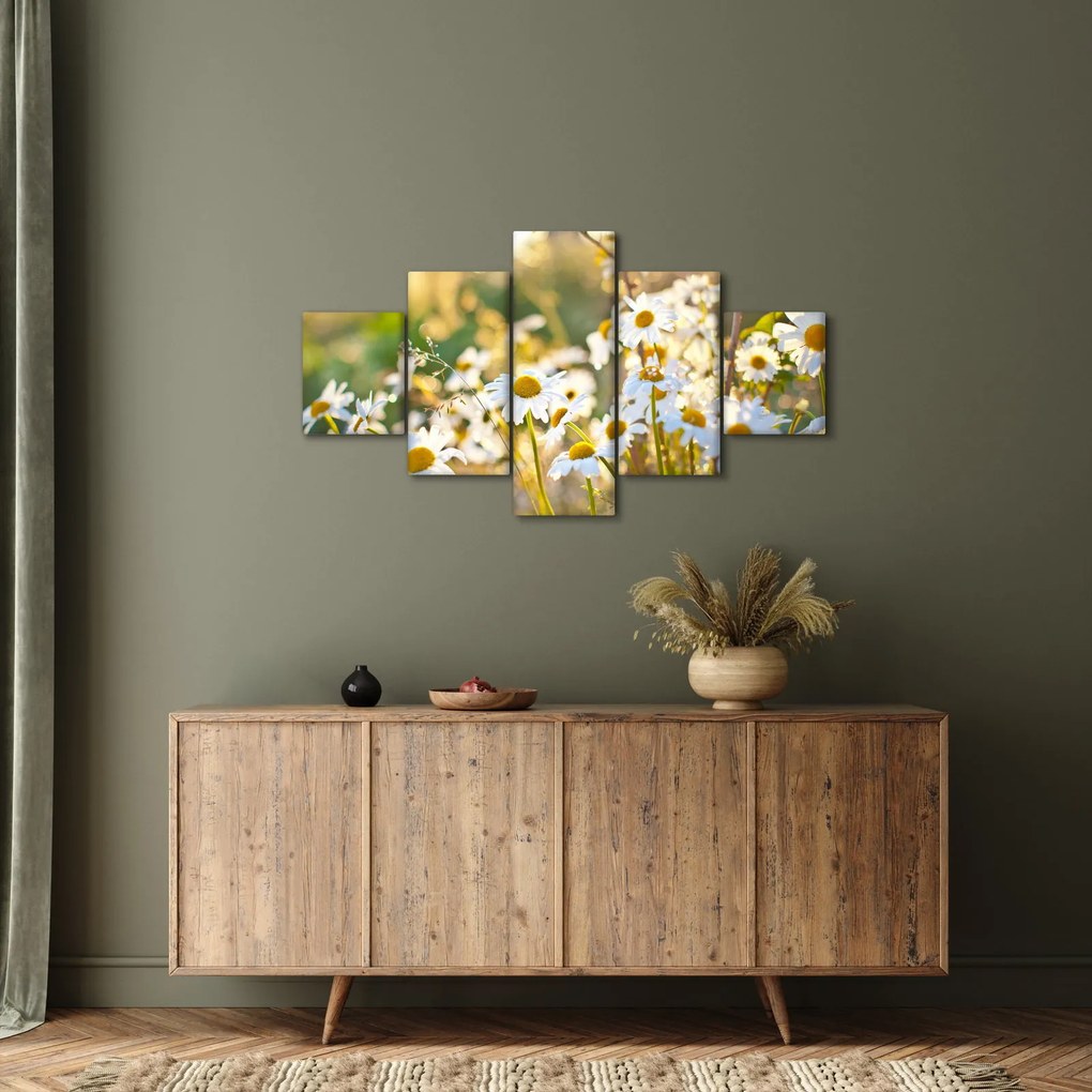 Obraz - Stokrotki (125x70 cm)
