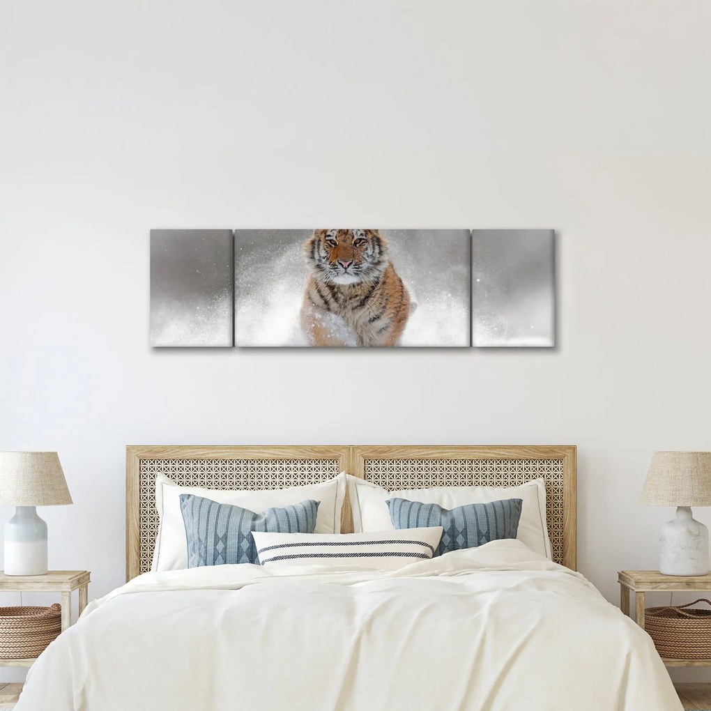 Obraz tygrysa biegnącego po śniegu (170x50 cm)