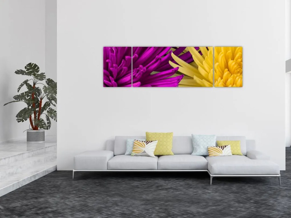 Obraz - szczegóły kwiatów (170x50 cm)