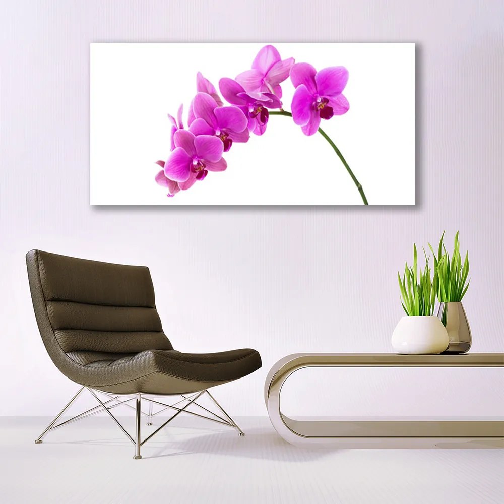 Obraz Canvas Storczyk Kwiat Orchidea