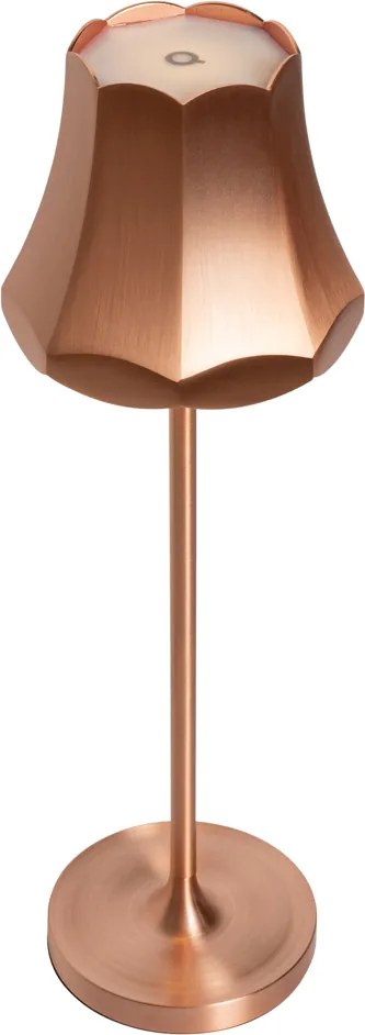 Zestaw 2 lamp stołowych Retro Miedziane Ładowalne IP44 - Granny