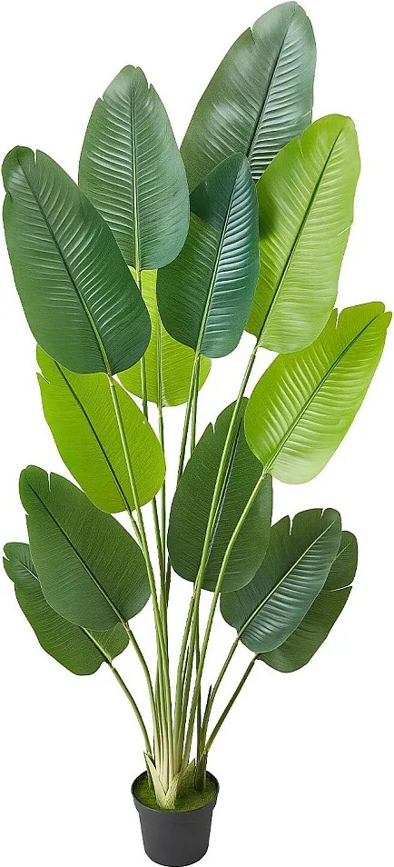 Sztuczny Rajski Ptak SucceBuy, 1,8 m, Sztuczna Tropikalna Roślina w Doniczce, Fałszywe Tropikalne Drzewo, Sztuczna Roślina Liście Polietylen do Salonu