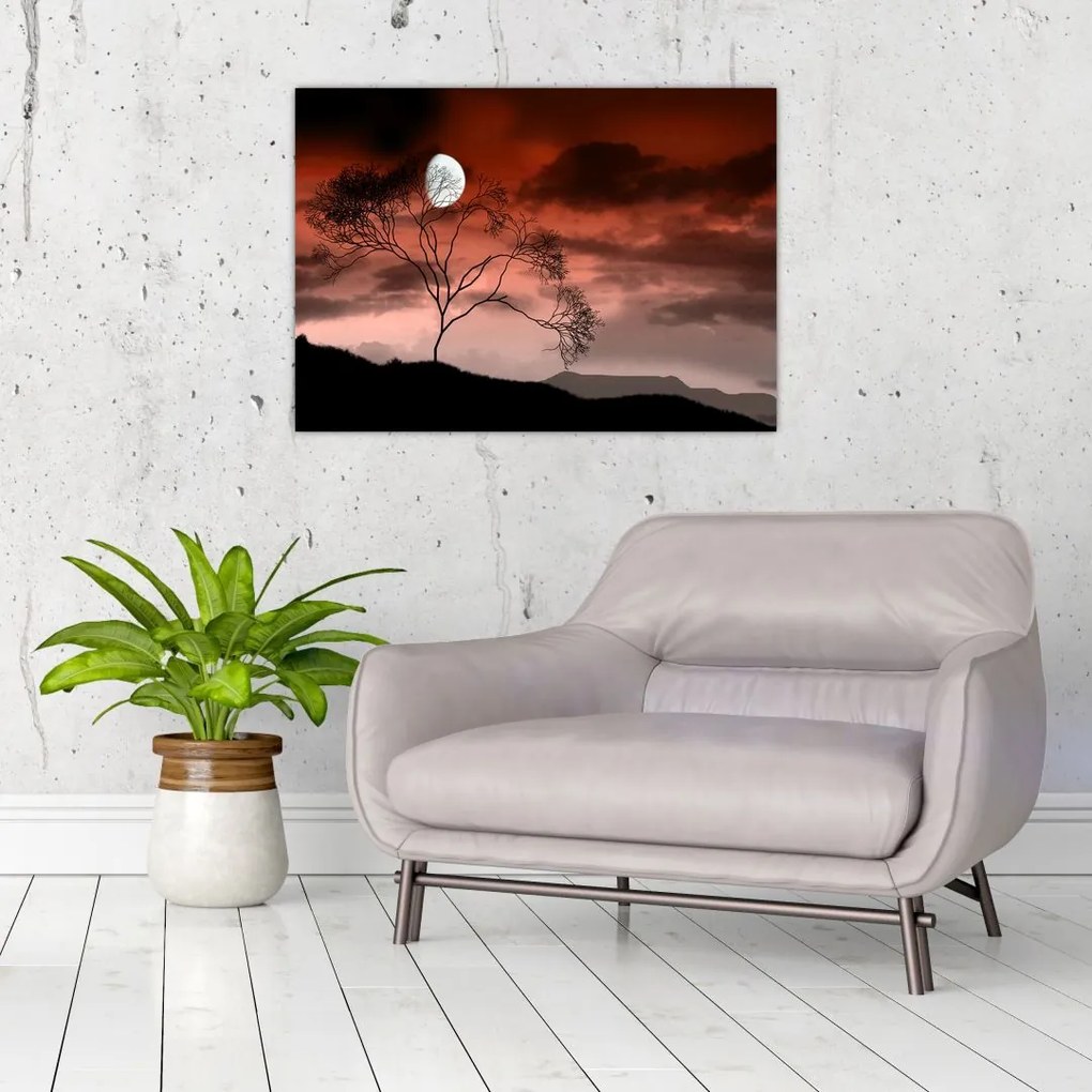 Obraz - Księżyc oświetlający noc (70x50 cm)