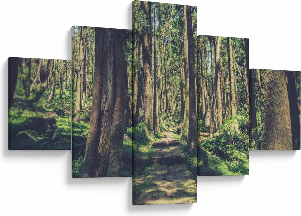 Obraz ścieżki pomiędzy drzewami (125x70 cm)