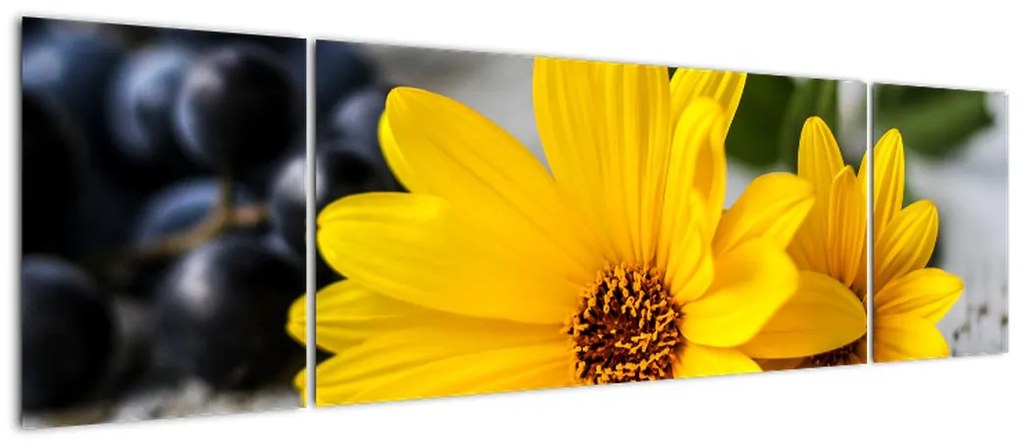 Obraz żółtych kwiatów (170x50 cm)