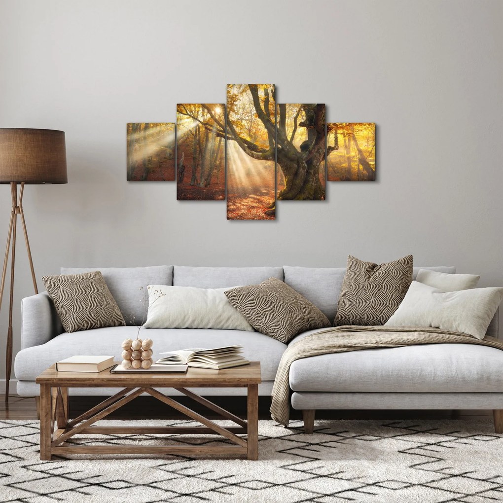 Obraz - Jesienny świt (125x70 cm)