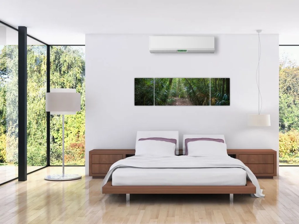 Obraz - Promienie słońca w dżungli (170x50 cm)