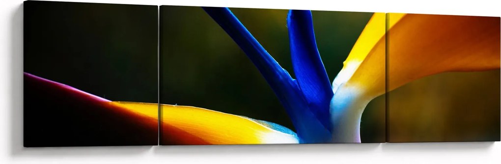 Obraz - Egzotyczny kwiat (170x50 cm)