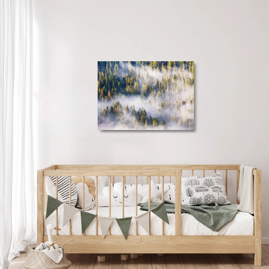 Obraz na szkle drzew we mgle (70x50 cm)