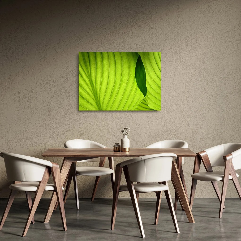 Obraz na szkle - Szczegół zielonego liścia (70x50 cm)