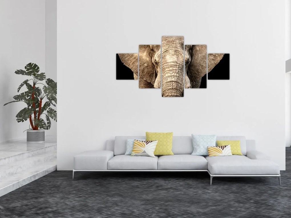 Obraz - Słoń afrykański (125x70 cm)