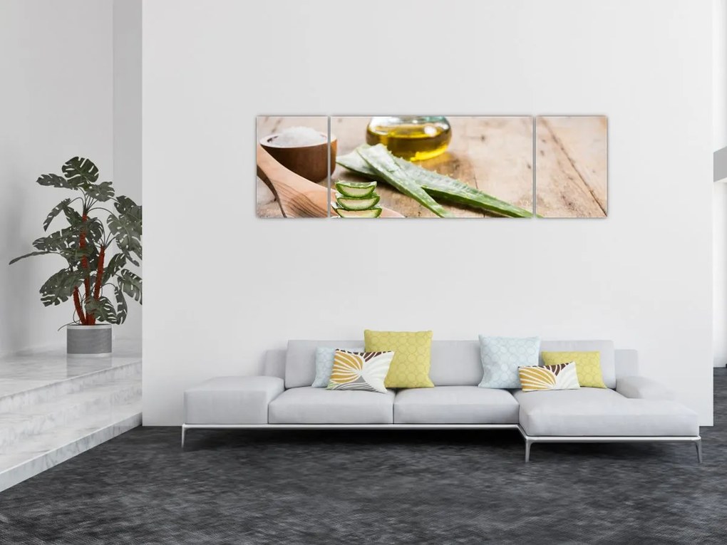Obraz - Aloes (170x50 cm)