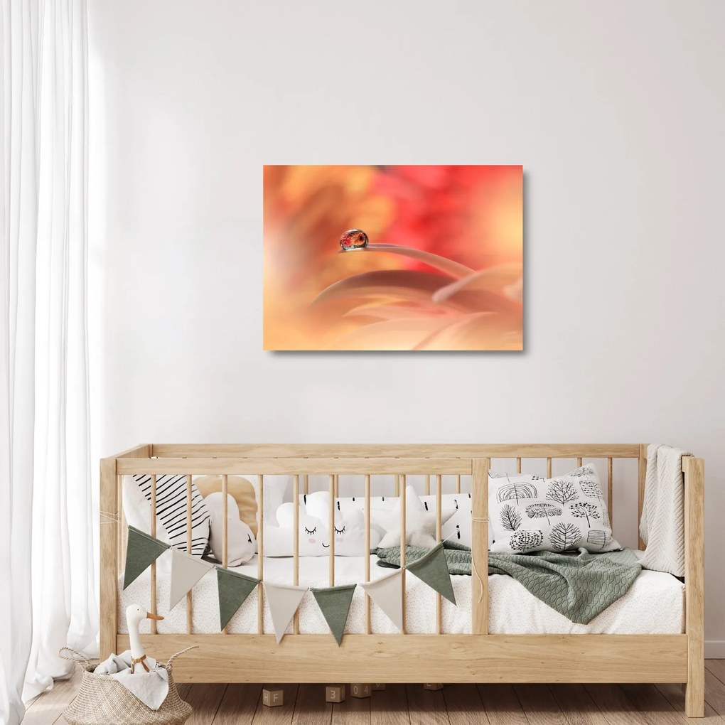 Obraz na szkle kwiecistej kropli rosy (70x50 cm)