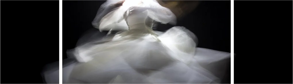 Obraz kwiatu lotosu (170x50 cm)