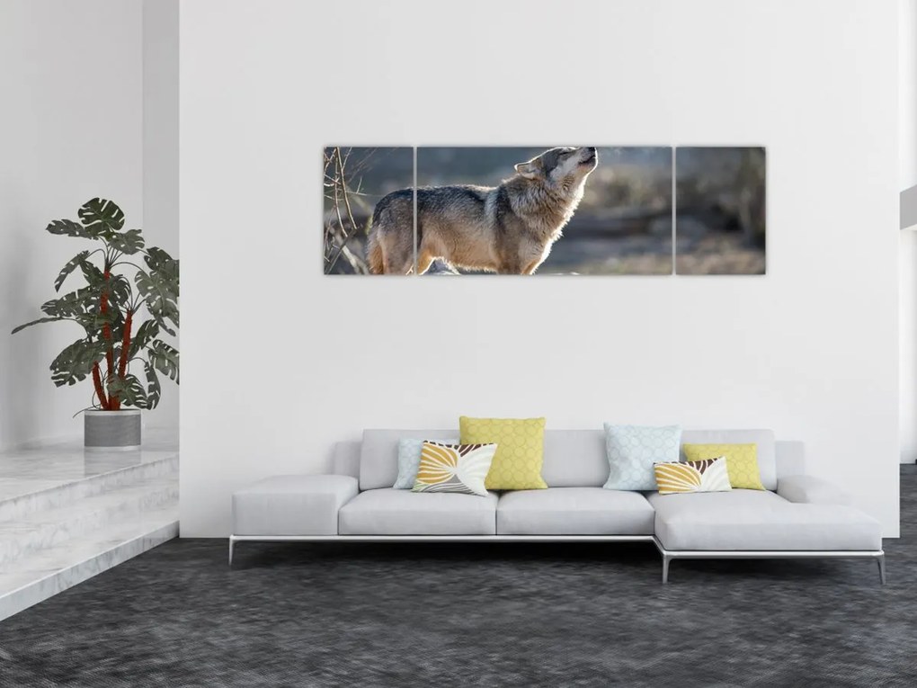 Obraz - Wyjący Wilk (170x50 cm)