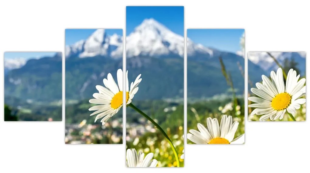 Obraz - Wiosna w Alpach (125x70 cm)