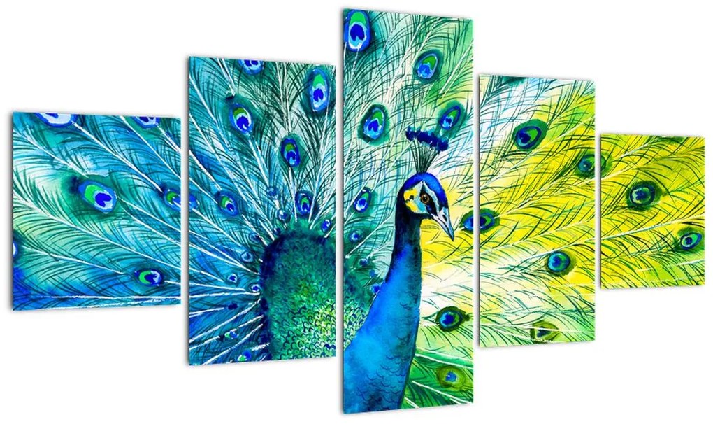 Obraz pawia (125x70 cm)