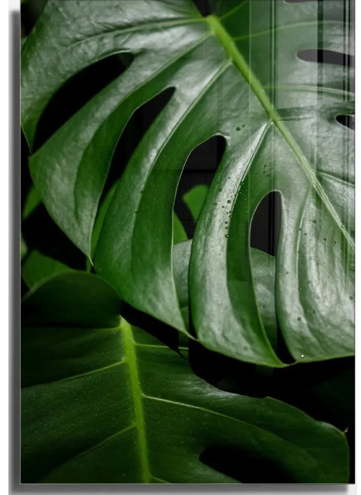 Szklany obraz 50x70 cm Monstera – Wallity