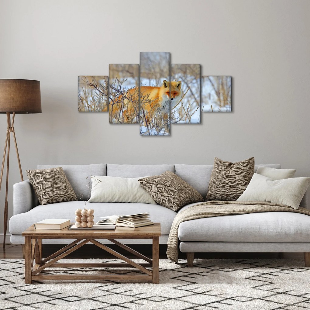 Obraz - Lis (125x70 cm)