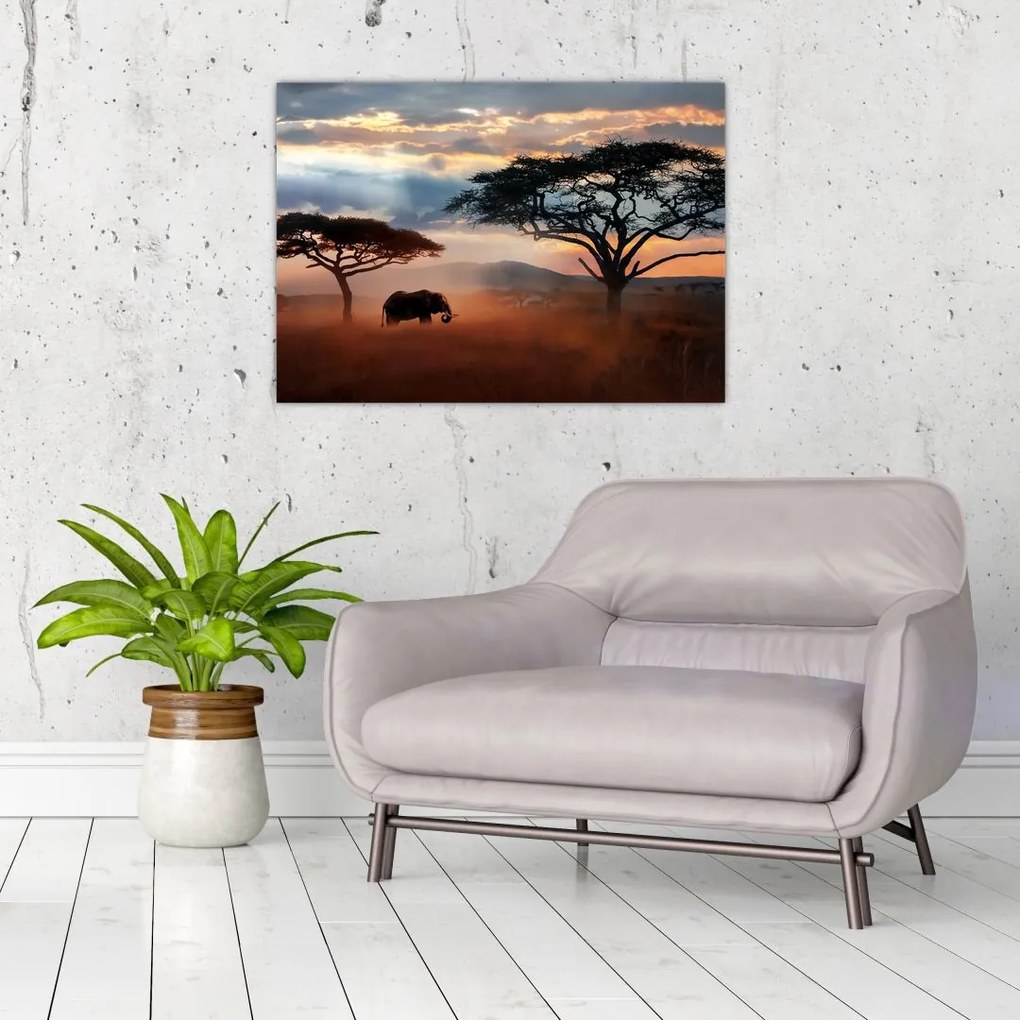 Obraz - Park Narodowy Serengeti, Tanzania, Afryka (70x50 cm)