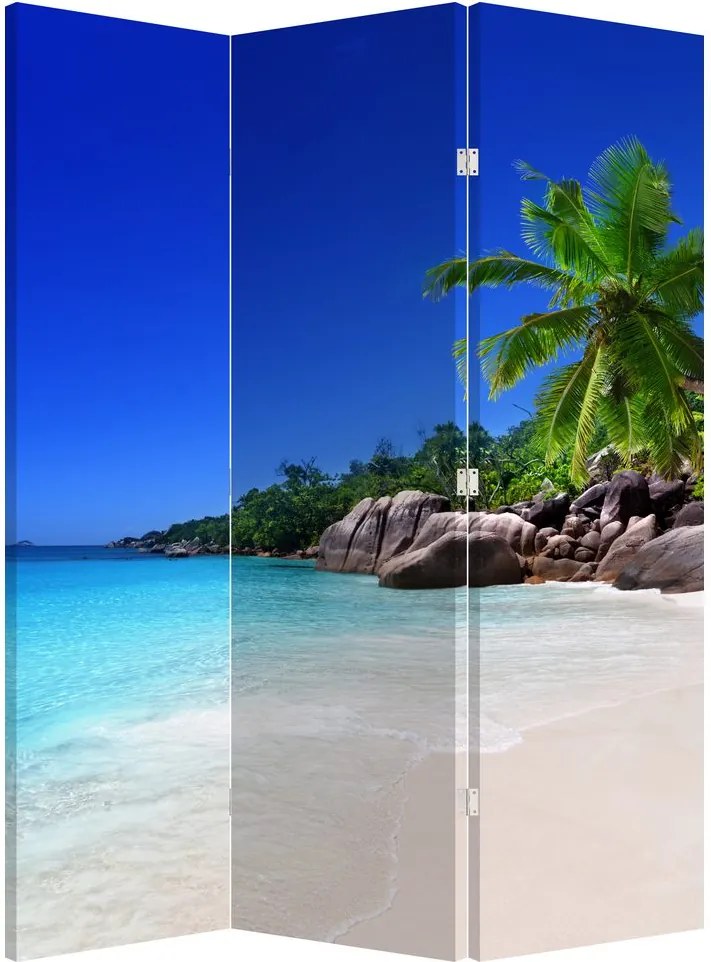 Parawan - Plaża na wyspie Praslin (126x170 cm)