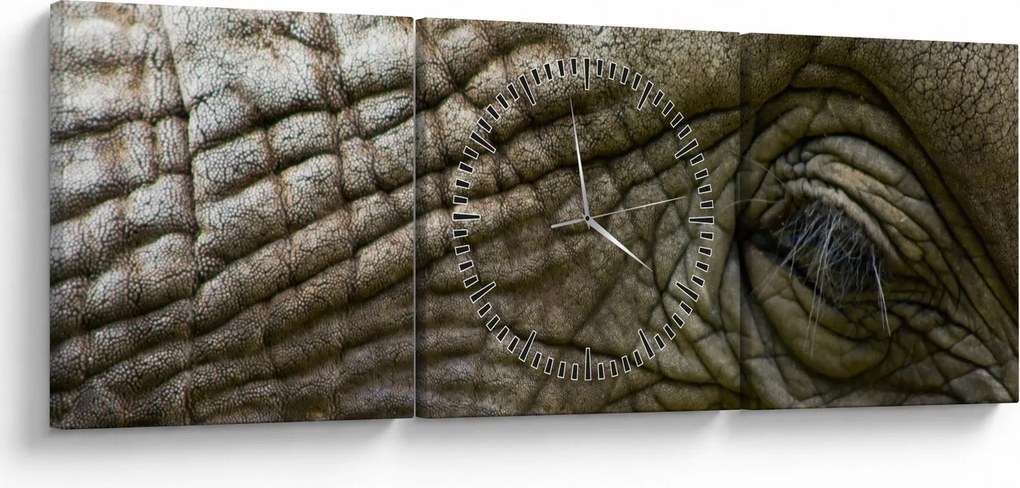 Obraz - Zbliżenie na stare oko słonia (z zegarem) (90x30 cm)