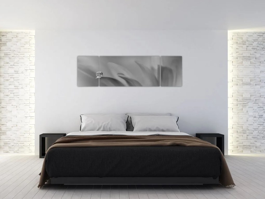 Obraz - Kropla na kwiecie, czarno - biały (170x50 cm)